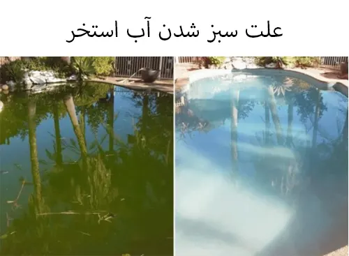 علت سبز شدن آب استخر