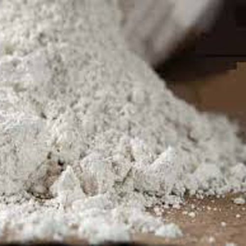 دلایل وجود خاک دیاتومه (DE) درون آب استخر