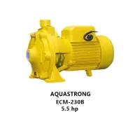 جت پمپ جکوزی سانتریفیوژ تکفاز AQUASTRONG مدل ECM-230B
