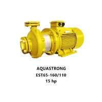 جت پمپ جکوزی سه فاز AQUASTRONG مدل EST65-160/110