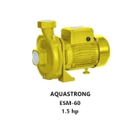 پمپ سانتریفیوژ AQUASTRONG مدل ESM-60